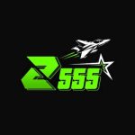 Z55 Game